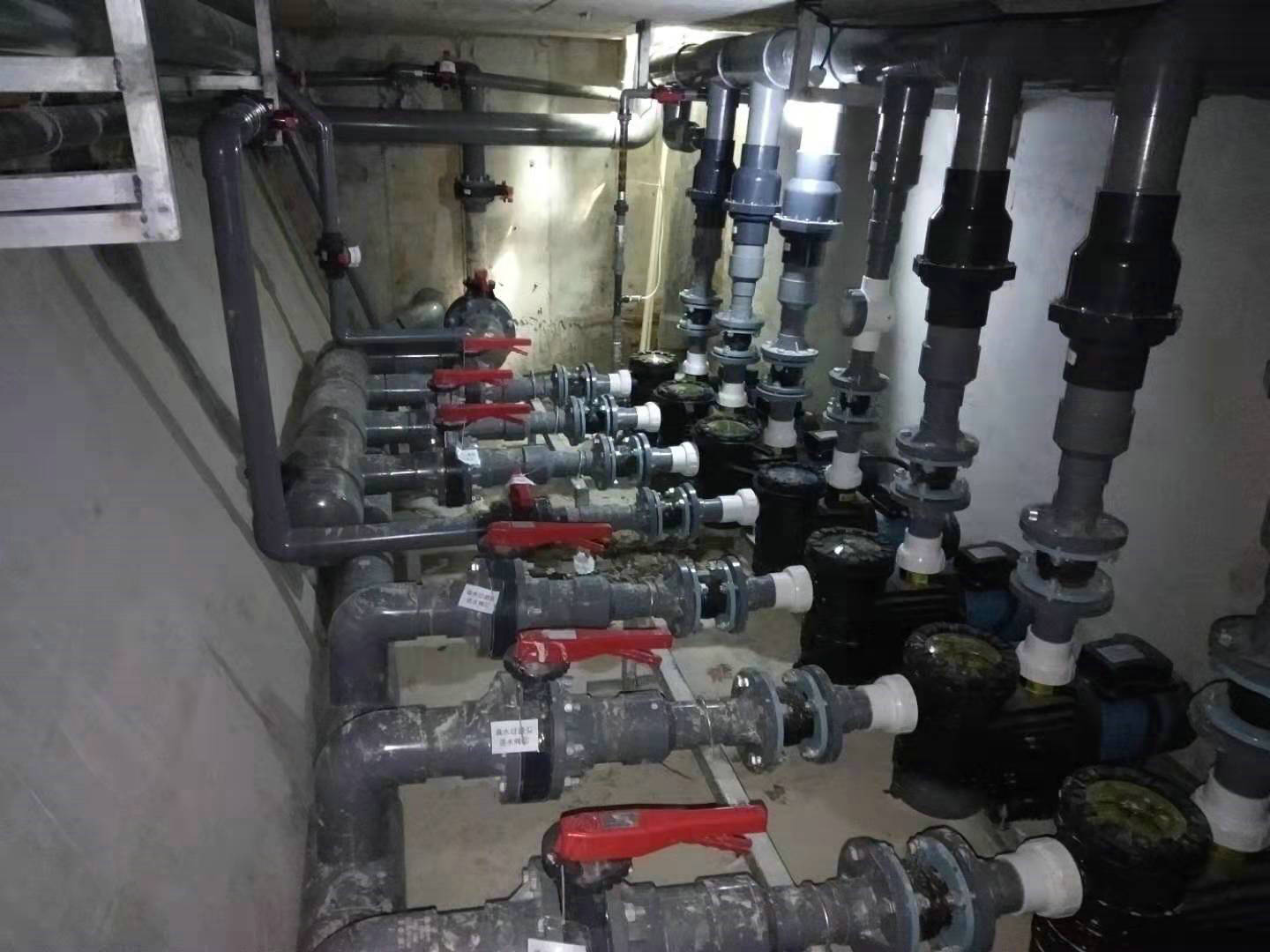 游泳池,SPA水療池,桑拿浴,蒸氣浴,汗蒸房,三溫暖